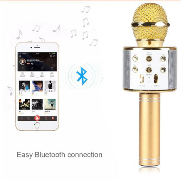 wster ws 858 Microphone karaoké sans fil 4-en-1