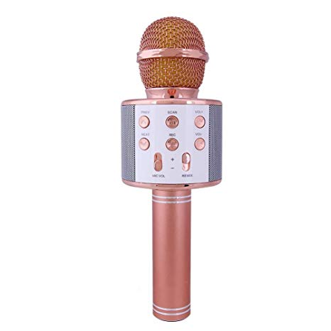wster ws 858 Microphone karaoké sans fil 4-en-1